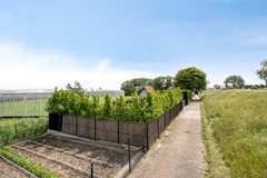Maasdijk1852691PEsGravenzande-03 (Custom).jpg